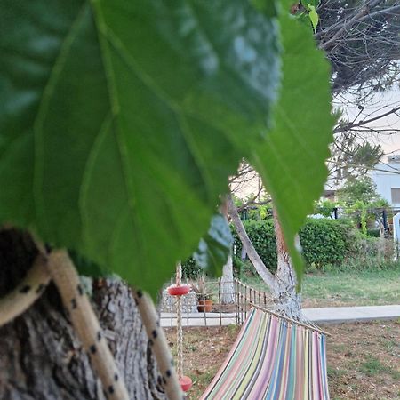 Villamare Νεράντζα Εξωτερικό φωτογραφία