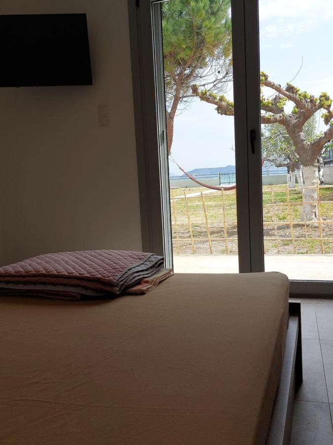 Villamare Νεράντζα Εξωτερικό φωτογραφία