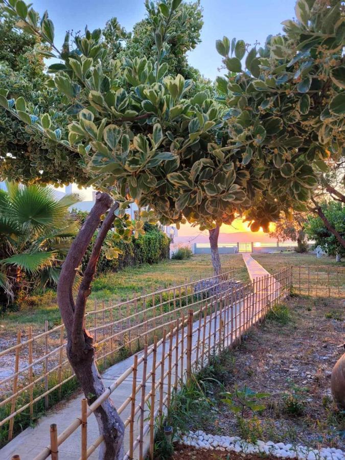 Villamare Νεράντζα Εξωτερικό φωτογραφία